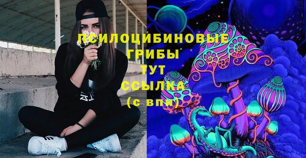 амфетамин Алексеевка