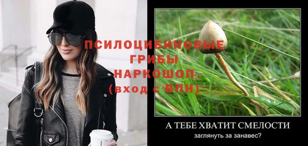 скорость Алзамай