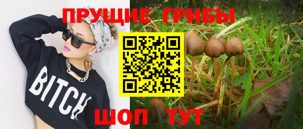 Псилоцибиновые грибы прущие грибы Каменск-Уральский